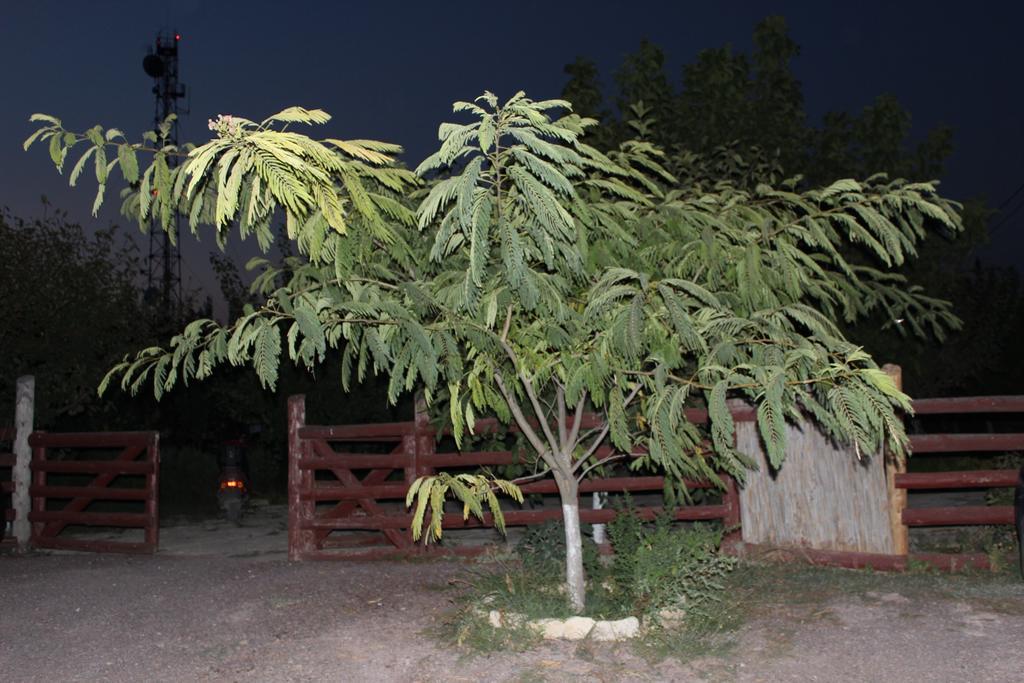 Pensiunea Heracleea Jurilovca Exterior photo